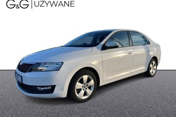 1.0 TSI 110 KM Ambition | Polska | Salon PL | Serwis ASO